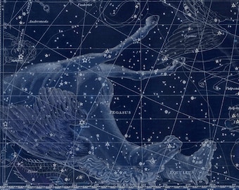 Vintage Pegasus Equuleus Constellation Celestial Map - Astronomy Gift - Astrology Art - Zodiac Sign Star Chart - Restoration Style Decor