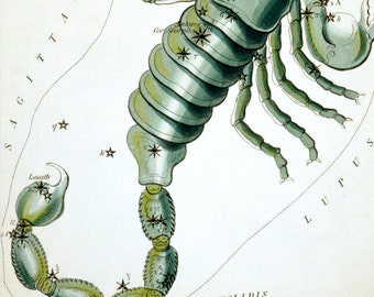 Scorpio Vintage Zodiac Sign Astrological Art Print