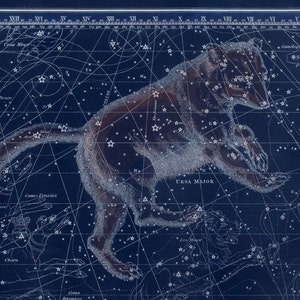 Vintage Ursa Grote Constellatie Hemelkaart - Astronomie Cadeau - Astrologie Kunst Prints - Grote Beer - Grote Beer - Restauratie Stijl Decor