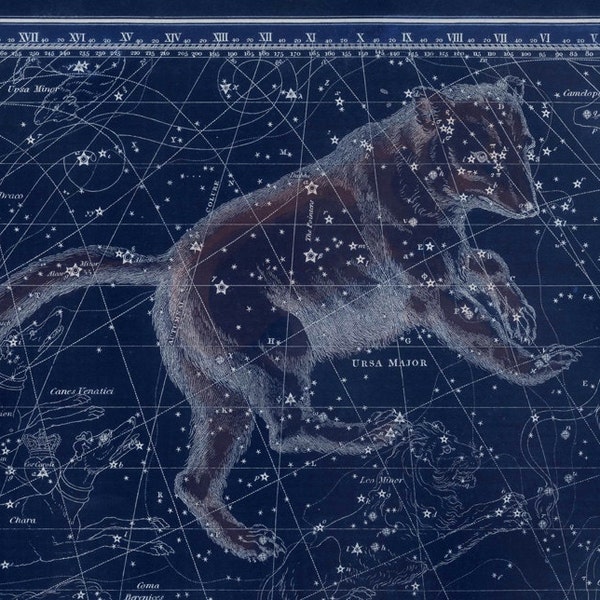Vintage Ursa Major Constellation Carte Céleste - Cadeau d’Astronomie - Astrologie Art Prints - Grande Ourse - Grand Ours - Décoration de Style Restauration