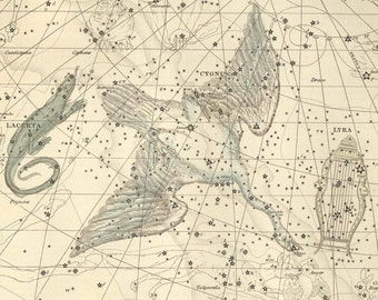 Vintage Cygnus Lacerta Lyra Constellation Celestial Map - Astronomy Gift - Astrology Art - Zodiac Sign - Restoration Style Wall Decor