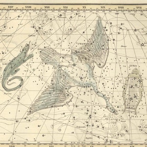 Vintage Cygnus Lacerta Lyra Sternbild Celestial Map - Astronomie Geschenk - Astrologie Kunst - Sternzeichen - Restaurierung Stil Wanddekoration