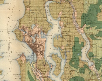 1900 Geologic Survey Map of Seattle Land Use and Timber - Old Maps and Prints - Antique Wall Art - City Map - Pacific Northwest Cartography