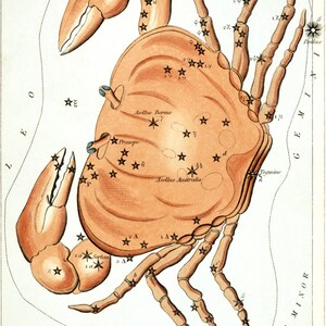 Kreeft Vintage Sterrenbeeld Astrologische Art Print