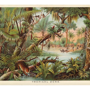Yaggys tropischen Zone Geographic Druck - Geschenk für Geologen - Restaurierung Dschungel - Naturwissenschaft Poster - Geographie Natur Dekor