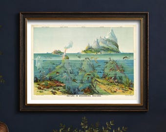 Yaggy Nature in Descending Regions Print, 1893 Ocean Life Wall Art, Marine Science Gift