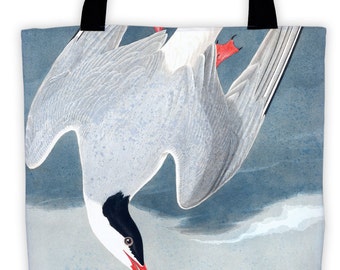 Art Print Tote Bag - Audubon Arctic Tern Antique Bird Print - Large Market Tote - Reusable Grocery Bag - Vintage Carry All Beach Bag