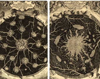 Subterranean Fires & Waters Vintage Geology Print Set