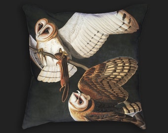 Decorative Pillow - Audubon Barn Owl Antique Print Throw Pillow - Home Decor Accent Pillows - Vintage Avian Bird Art - Ornithology Study Art