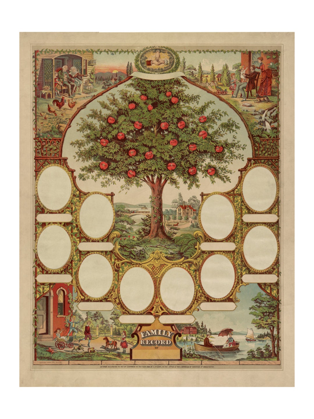 Vintage Family Record Picture Tree - Family Tree - Geneology