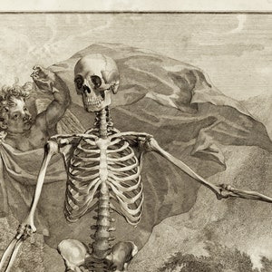Skeleton Anatomy Art Macabre Art Print Anatomical Science Poster Tabulae Sceleti Old Maps and Prints Oddities and Curiosities image 2