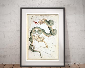 Draco and Ursa Minor Astrology Art Print - Astronomy and Horoscope Art - Vintage Celestial Constellation Chart - Old Maps and Prints