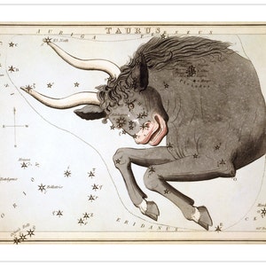 Stier Vintage Sternzeichen Astrologie Kunstdruck