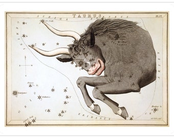 Taurus Vintage Zodiac Astrological Art Print