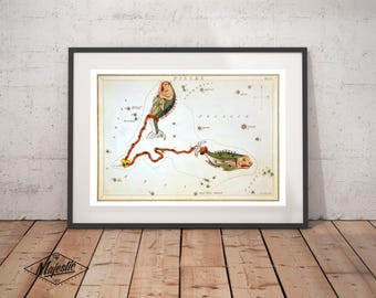 Pisces Zodiac Art Print - Astronomy Astrology Horoscope Art - Vintage Celestial Constellation Chart - Old Maps and Prints