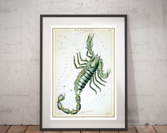 Scorpio Zodiac Art Print - Astronomy Astrology Horoscope Art - Vintage Celestial Constellation Chart - Old Maps and Prints