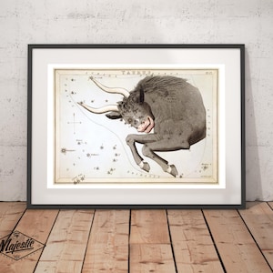 Op de afbeelding: Ingelijste vintage print van het sterrenbeeld Stier, met een gedetailleerde illustratie van een stier met hoorns en hemelse sterren. Het kunstwerk staat in een zwarte lijst, tegen een witte achtergrond en rust op een houten oppervlak.