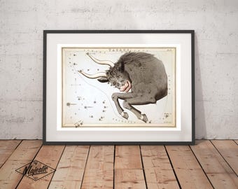 Taurus Zodiac Art Print - Astronomy Astrology Horoscope Art - Vintage Celestial Constellation Chart - Old Maps and Prints