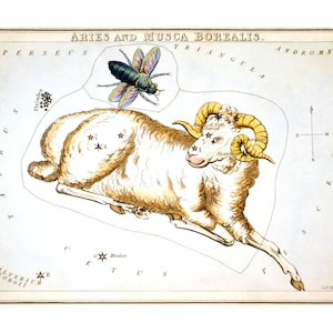 Widder Vintage Sternzeichen Astrologie Kunstdruck - Astronomie Astrologie Horoskop Kunst - Celestial Constellation Chart - Alte Landkarten und Drucke