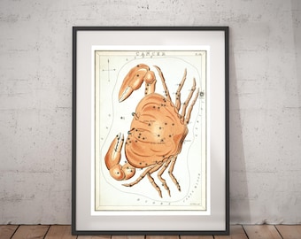 Cancer Zodiac Art Print - Astronomy Astrology Horoscope Art - Vintage Celestial Constellation Chart - Old Maps and Prints