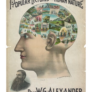 Phrenologie Poster - Vintage Kunstdruck - Antikes Werbeschild - Alte Landkarten und Drucke - Werbekunst - Medizinische Ephemera - Psychologie