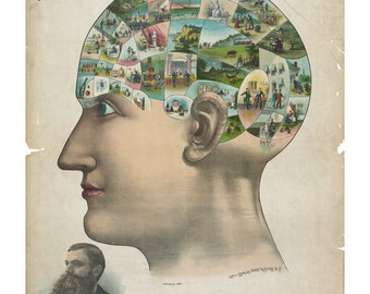 Phrenology Poster - Vintage Art Print - Antique Advertising Sign - Old Maps and Prints - Advertising Art - Medical Ephemera - Psychology