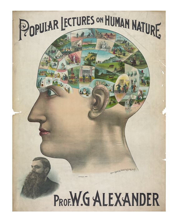 Phrenology Poster Vintage Art Print Antique Advertising pic
