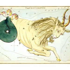 Steinbock Vintage Sternzeichen Kunstdruck