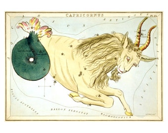 Capricorn Vintage Zodiac Sign Art Print