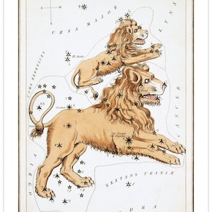 Leo Major Vintage Zodiac Sign Art Print
