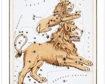 Leo Major Vintage Zodiac Sign Art Print