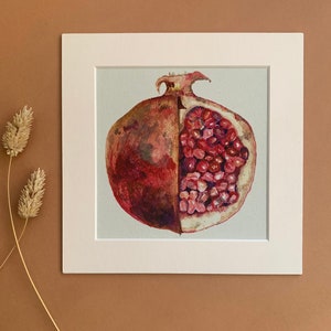 Pomegranate botanical illustration, sliced pomegranate fine art print