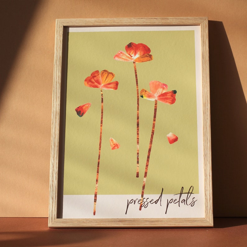 Pressed Petals poppy wildflower garden art print image 2