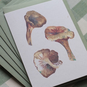 Juego de 6 tarjetas de notas y sobres ecológicos con hongos rebozuelo