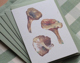 Set of 6 chanterelle mushroom eco friendly notecards and envelopes