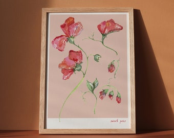 5 x 7 custom listing for Jessica. Sweet peas vintage style botanical illustration art print