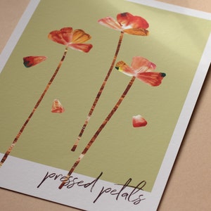Pressed Petals poppy wildflower garden art print image 3