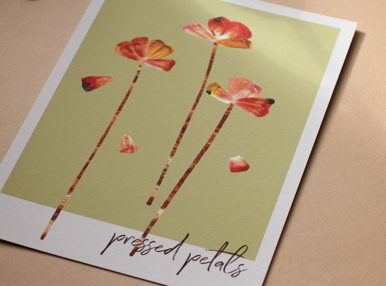 Pressed Petals poppy wildflower garden art print image 3