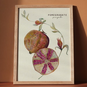 Pomegranate botanical illustration, sliced pomegranate fine art print