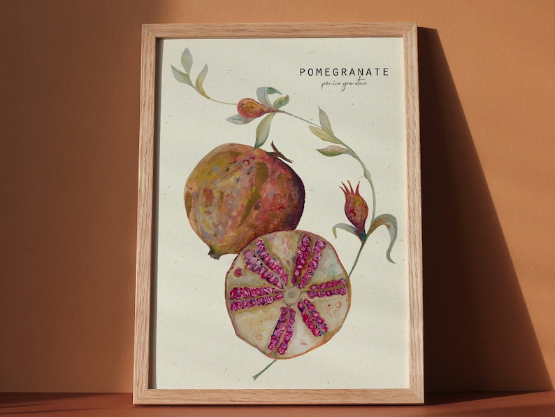 Vintage style fruit illustration, sliced pomegranate botanical print image 2