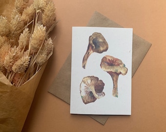 Chanterelle mushroom cottage core greetings card - eco friendly stationery - green witch