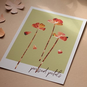 Pressed Petals poppy wildflower garden art print image 1