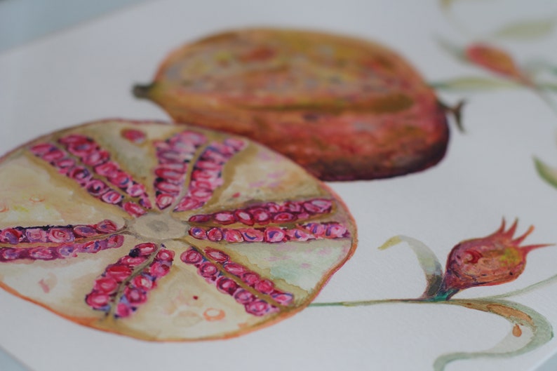 Vintage style fruit illustration, sliced pomegranate botanical print image 3