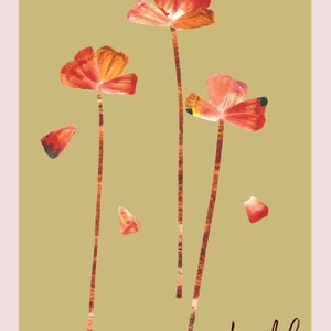 Pressed Petals poppy wildflower garden art print image 4