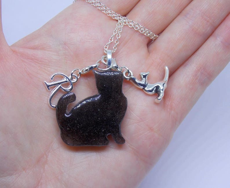 Pet fur necklace keepsake pet memorial pet remembrance Etsy