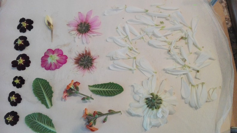 funeral flowers cuff links, wedding flowers preserved pressed flower wedding wedding flower cuff link keepsakes