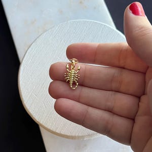May include: A small, gold scorpion pendant. The scorpion has a detailed, segmented body and pincers. The pendant is suspended from a small loop, ready for a necklace or bracelet. The scorpion is held against a white and marble background.