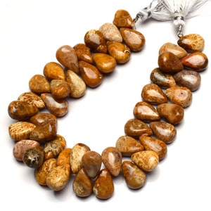 Natural Rare Gemstone Indonesian Agatized Fossil Coral 14x9MM Approx Size Smooth Pear Shape Beads 8.5 Inch Full Strand Agatized Coral