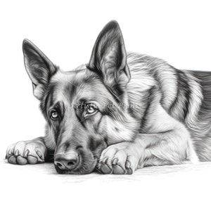 Skizzenzeichnungen Deutscher Schäferhund - 10 hochwertige JPGs - Digitaler Download! Wandkunst, Leinwandkunst, Malerei, Kartenherstellung, Tassen, Untersetzer
