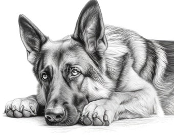 German Shepherd Sketch Drawings - 10 High Quality JPG's - Digital Download! Wall Art, Canvas Art, Painting, Card Making, Mugs, Coasters